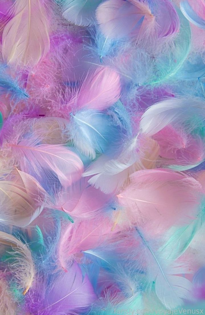 fansly VenusVoyajexx profile banner