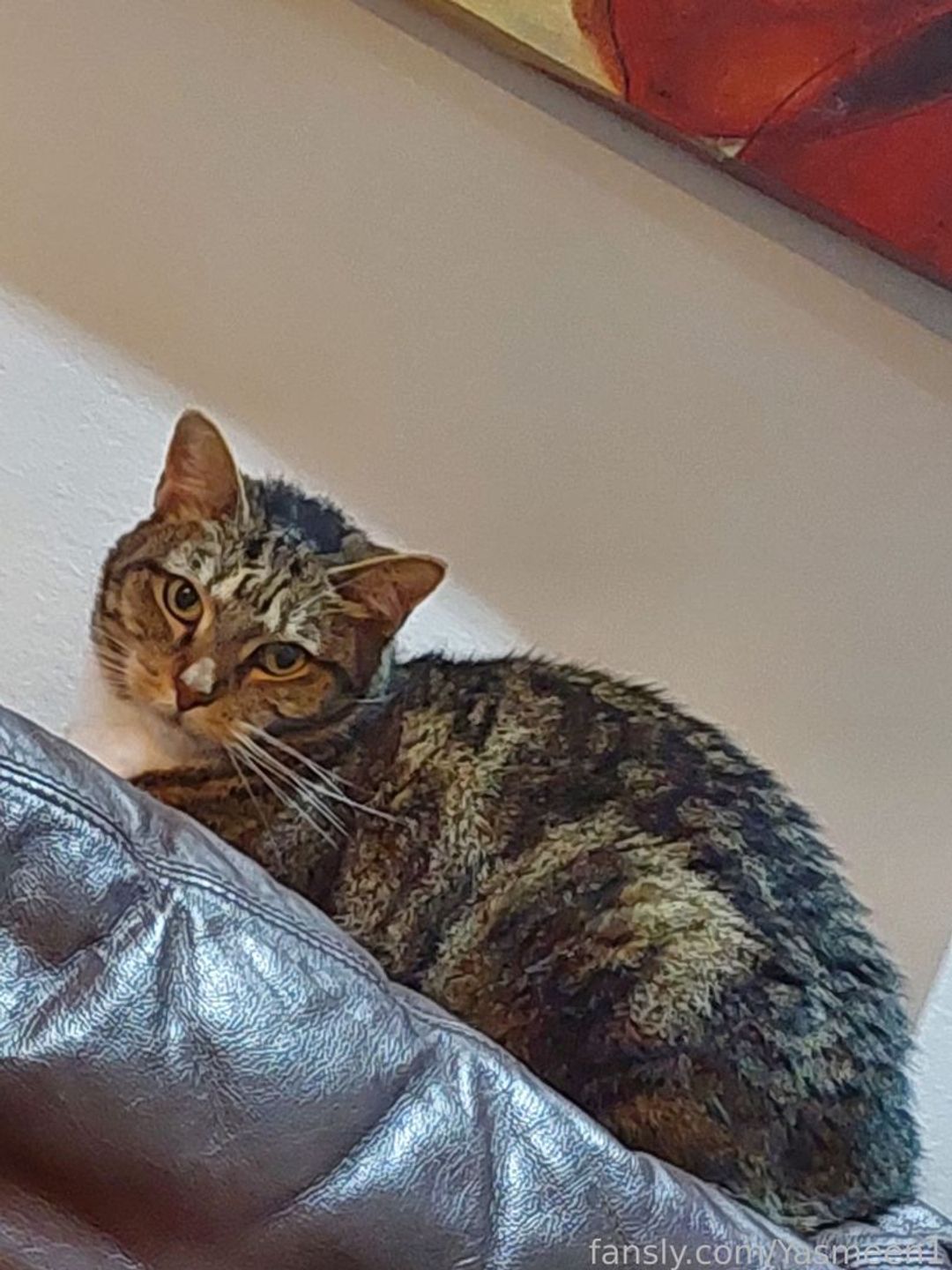 fansly Yasmeen1 profile banner  