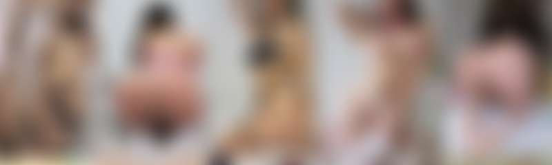 fansly Sunshinnevip profile banner  