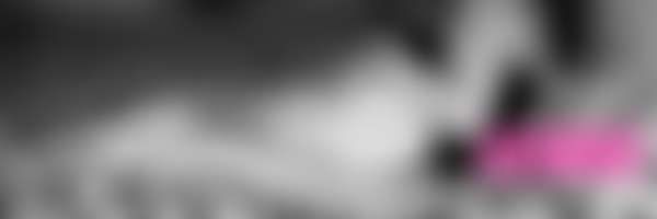 fansly Lily profile banner  