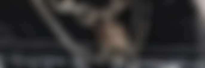 fansly doggiedirtbag profile banner  
