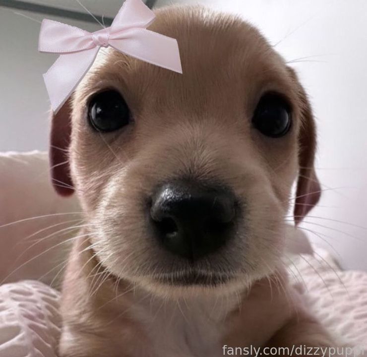 fansly simon :3 profile banner