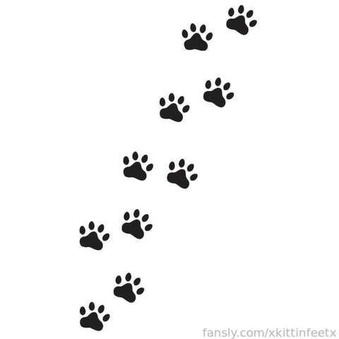 fansly 🐾 kittin feet 🐾 profile banner  