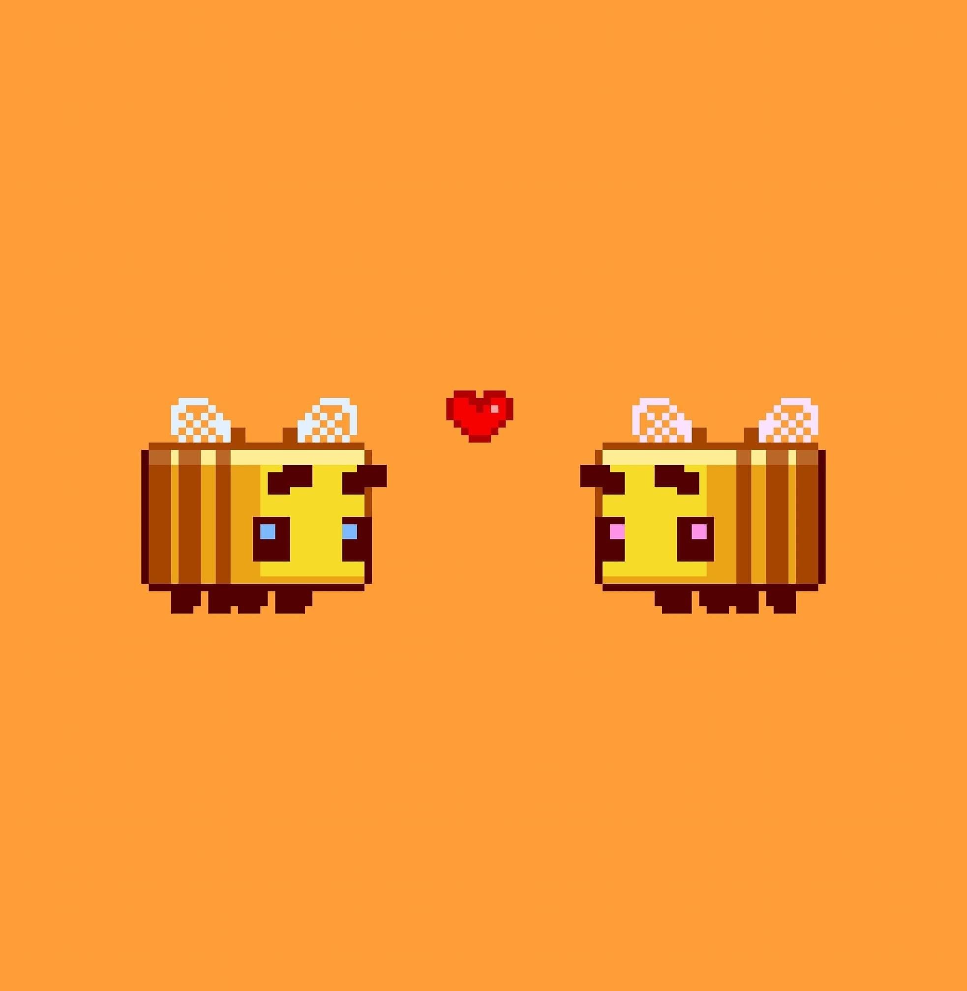 onlyfans β ππππ ππππππ β profile banner