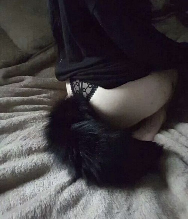 onlyfans AlphakittyXXX profile banner  