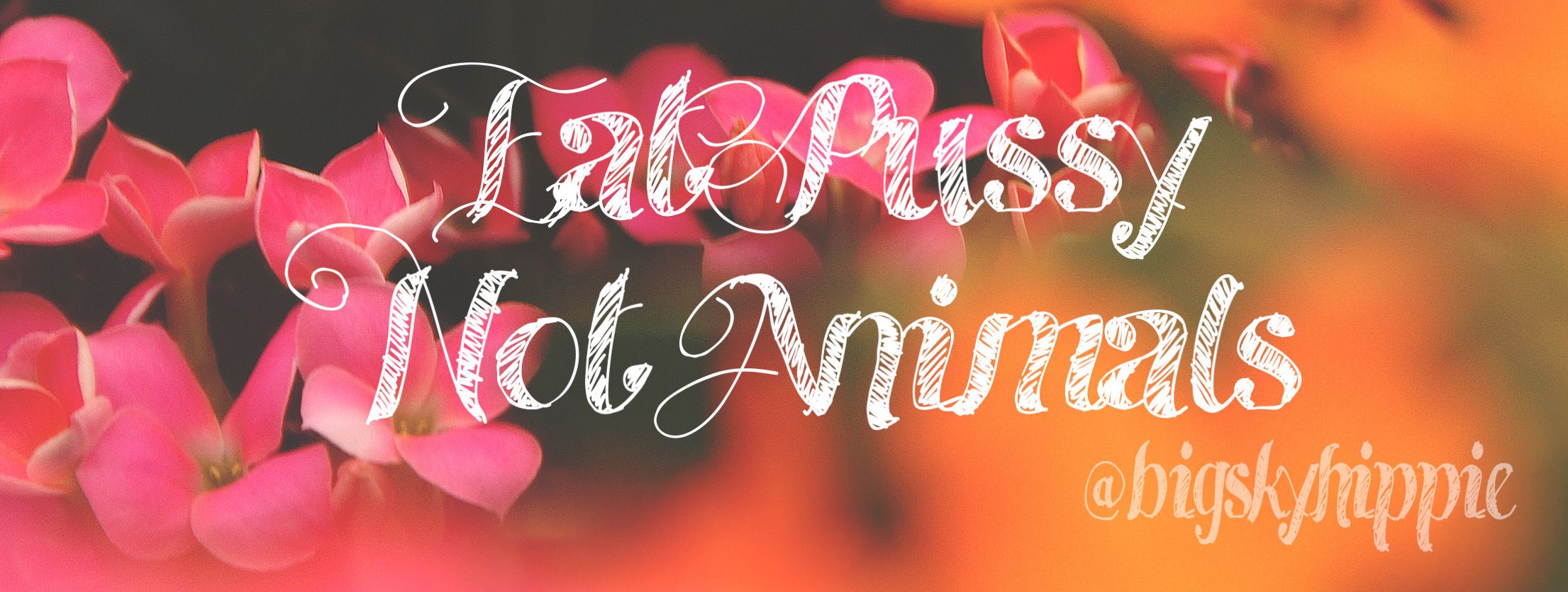 onlyfans 🌈 𝓢𝓴𝔂 🌈 𝓝𝓪𝓾𝓰𝓱𝓽𝔂 𝓗𝓲𝓹𝓹𝓲𝓮 ☮️ profile banner  
