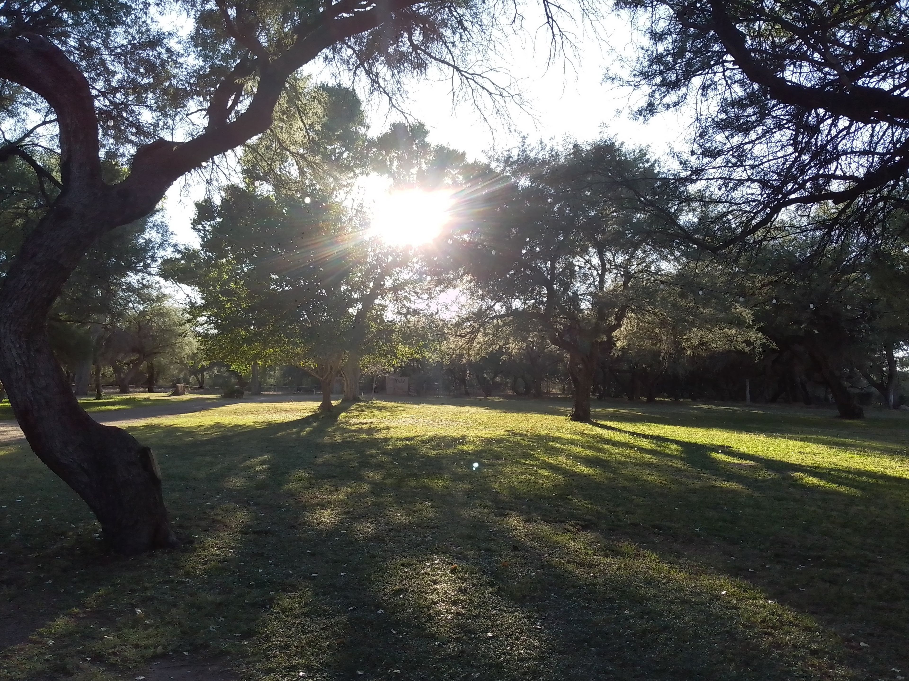 onlyfans Scarlet Ash profile banner  