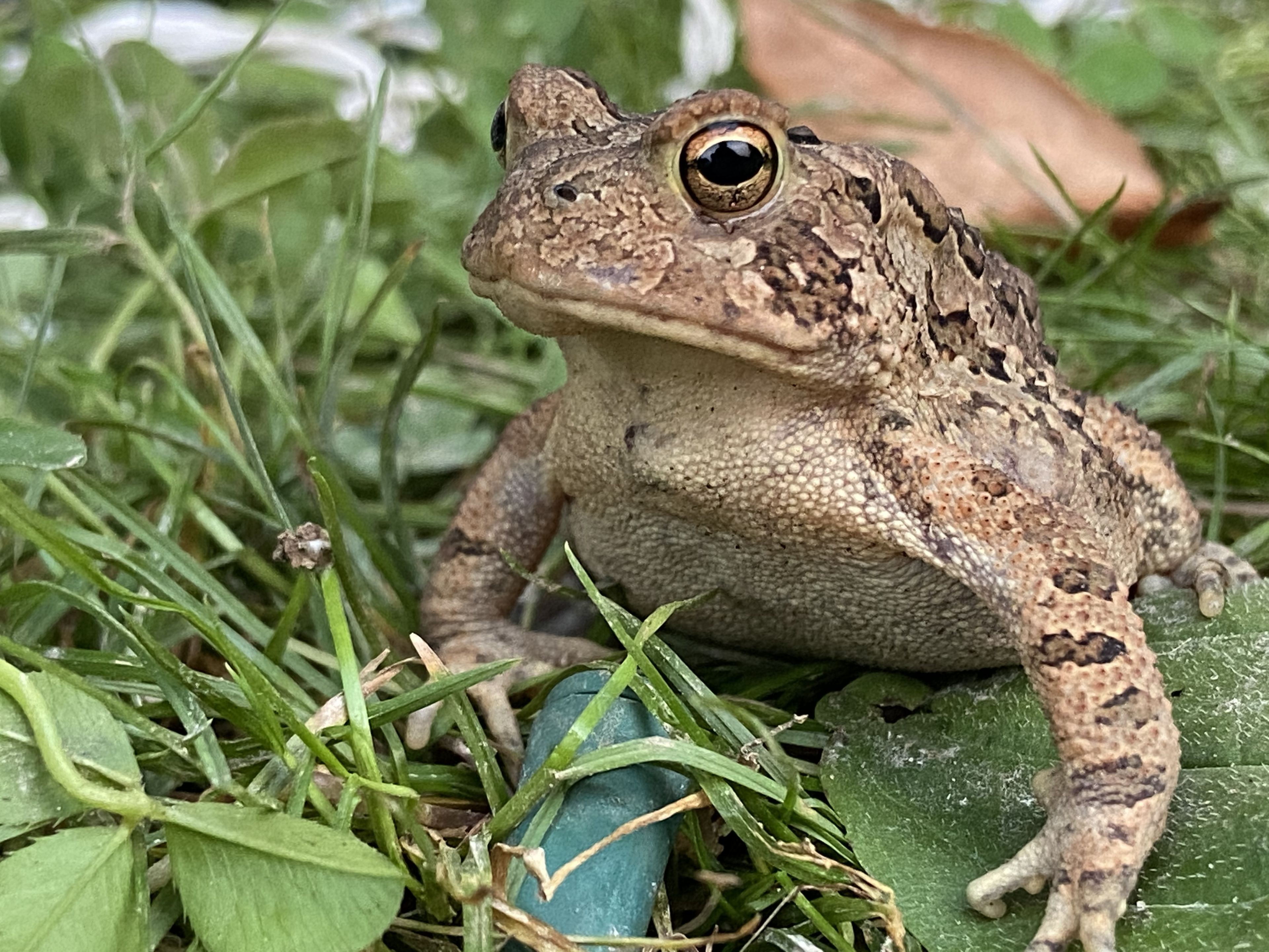 onlyfans Jacob ryan turpin profile banner