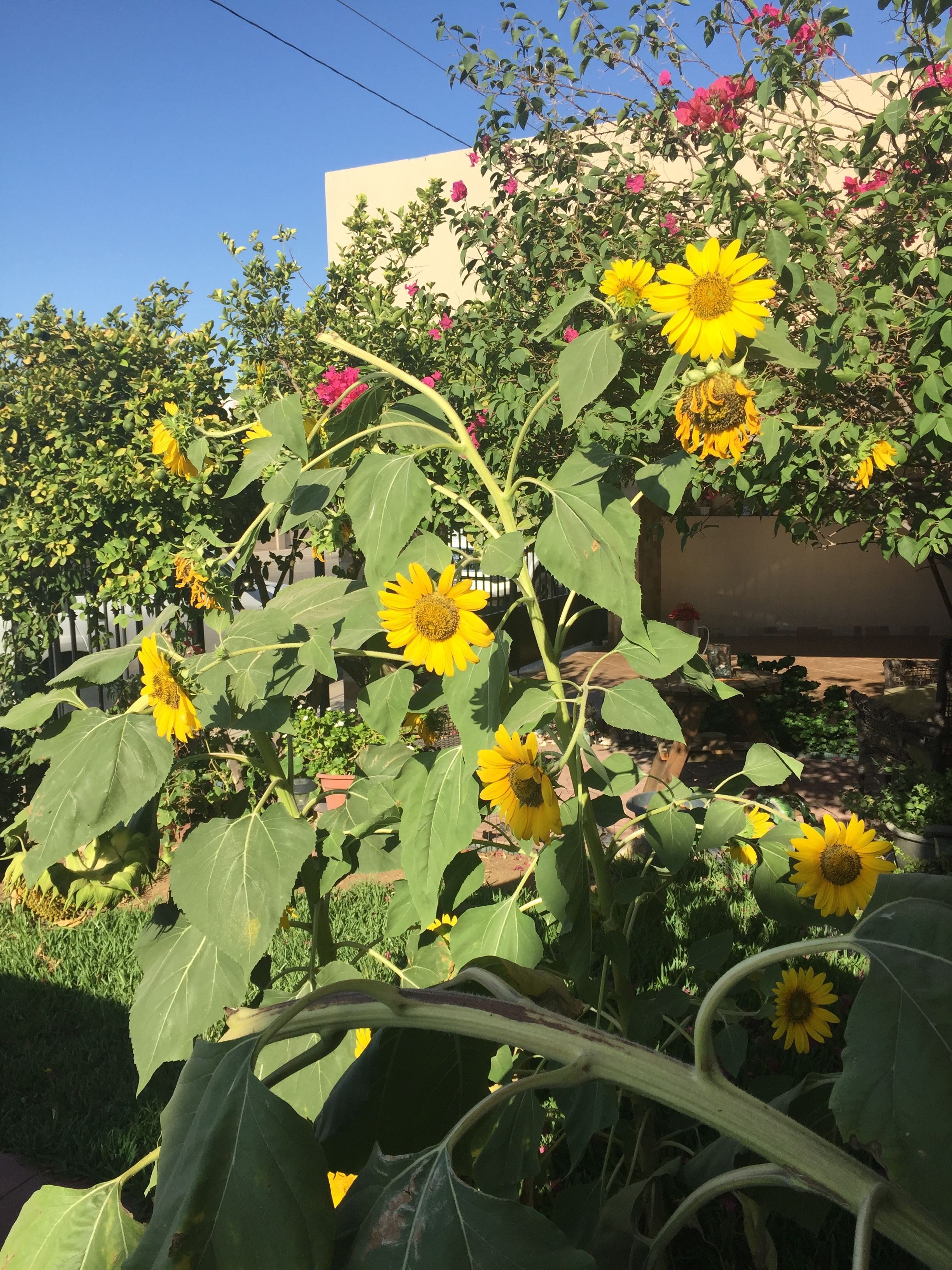 onlyfans u21579722 profile banner