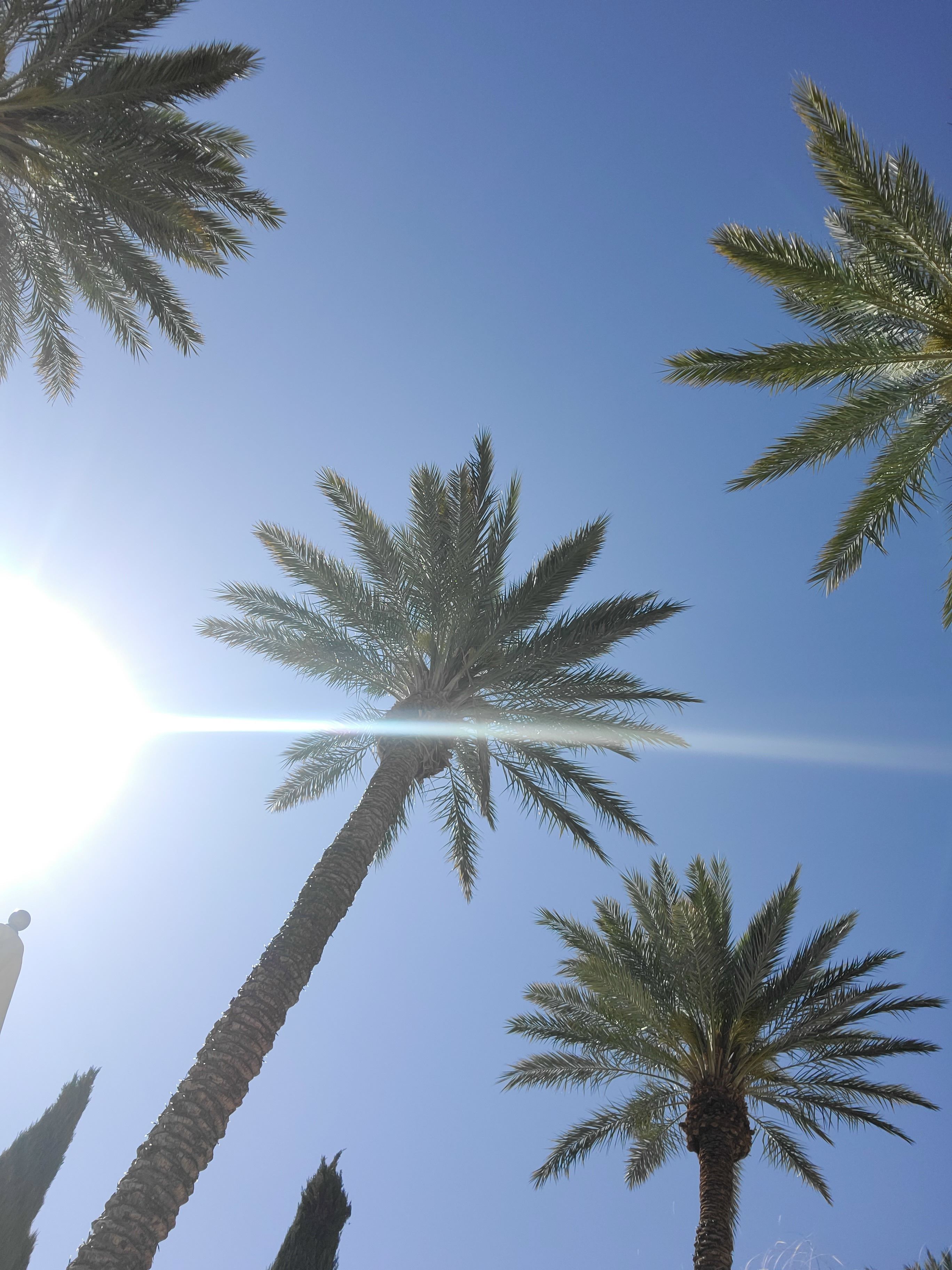 onlyfans Turkish Baby profile banner  