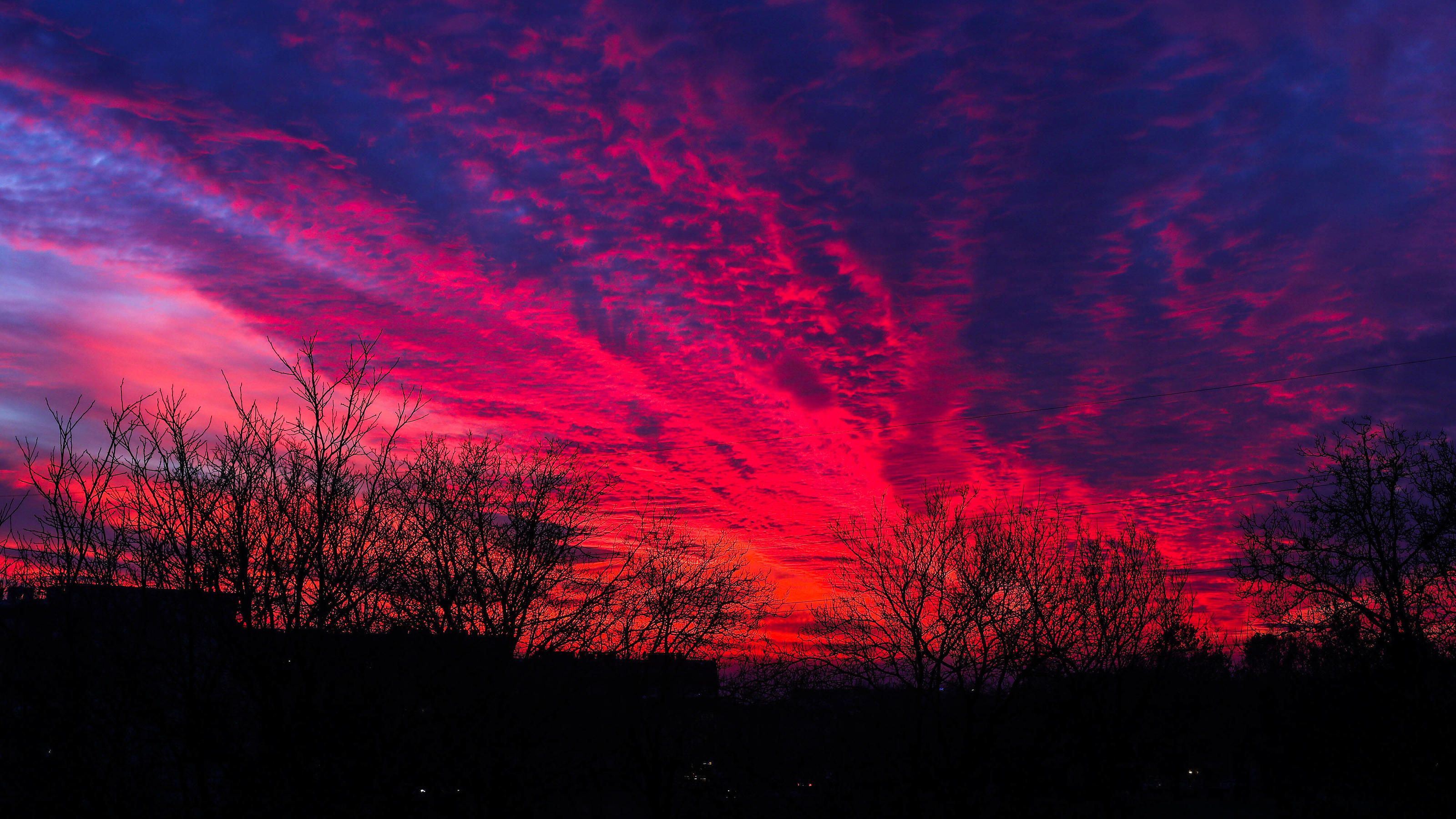 onlyfans Xylit profile banner  