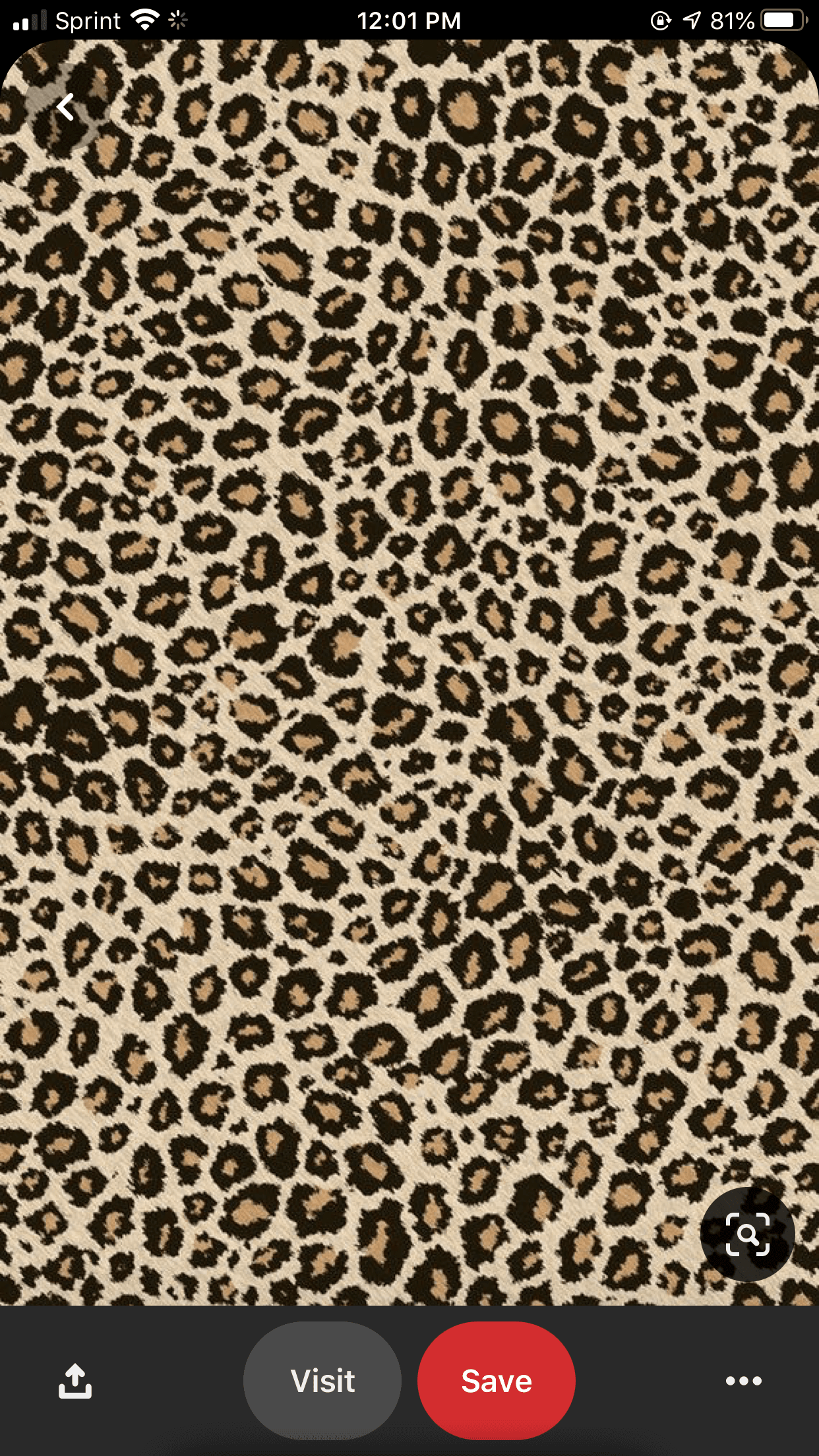 onlyfans Destiny Dittrich profile banner  