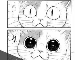 onlyfans Keshie profile banner  