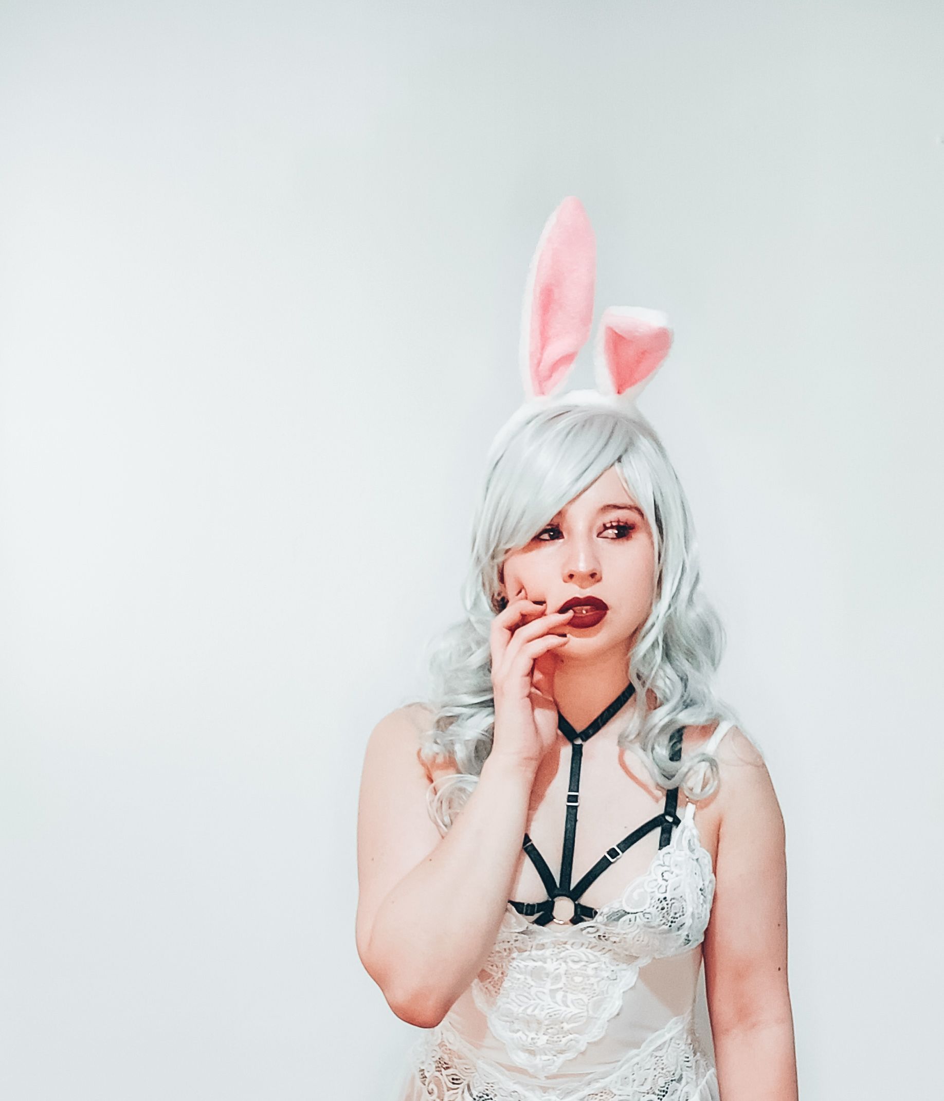 onlyfans White Rabit🐇 profile banner  