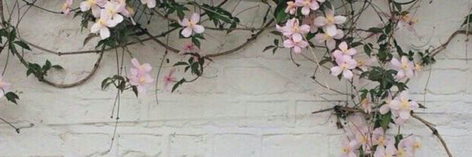 onlyfans Tina Heart profile banner  