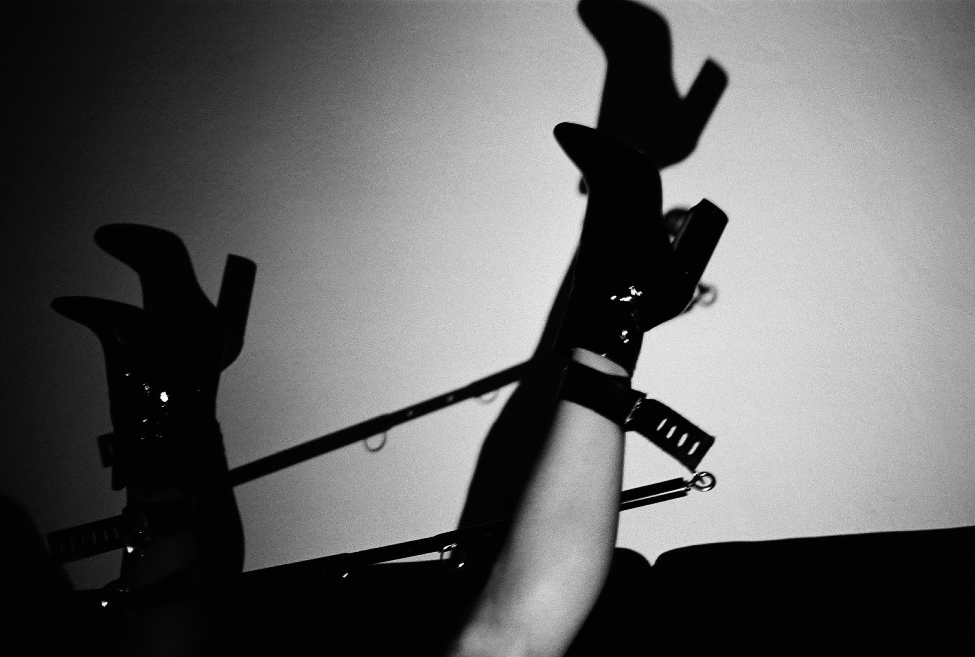 onlyfans leche profile banner