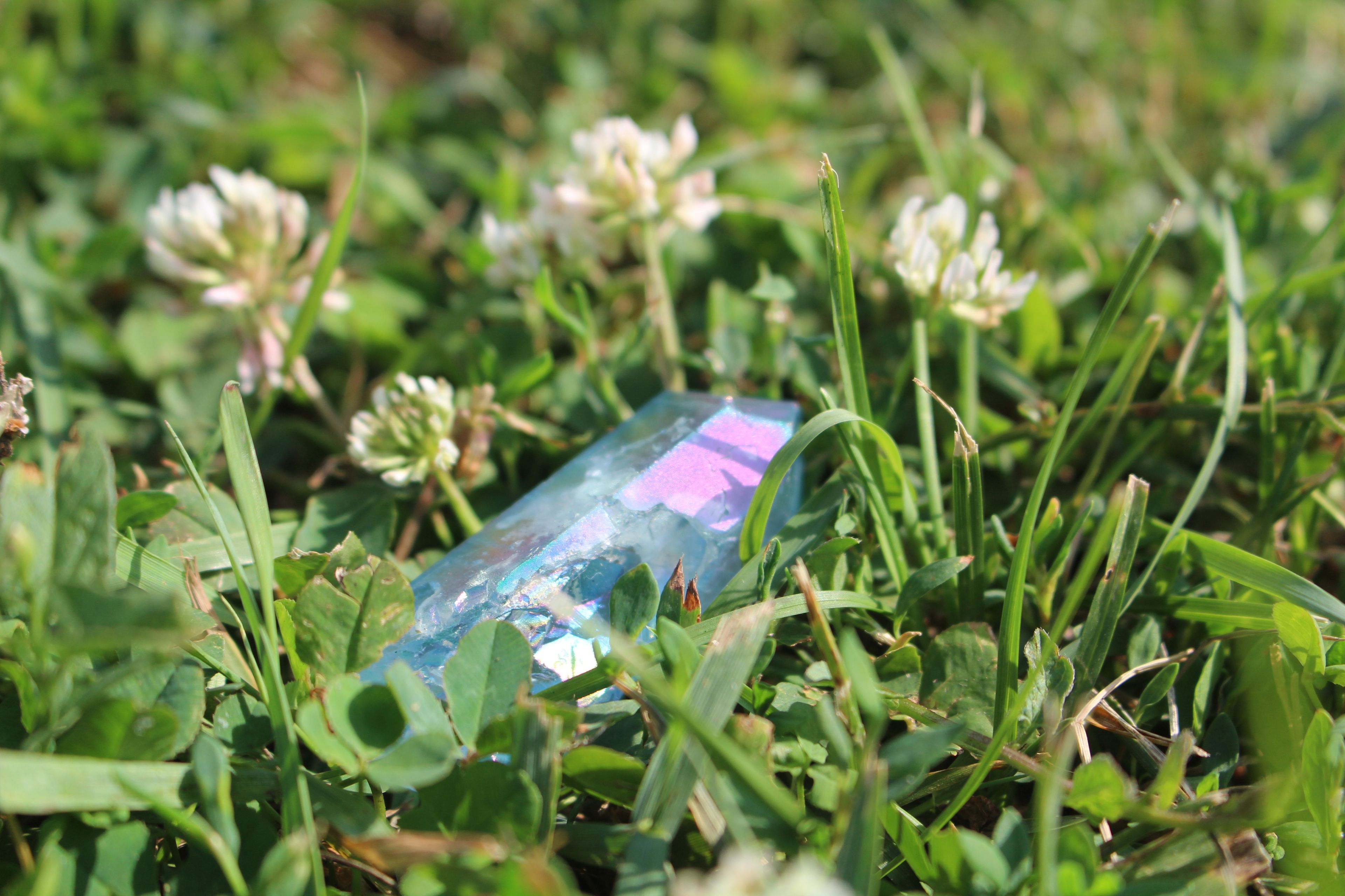 onlyfans Siren Rayne profile banner  