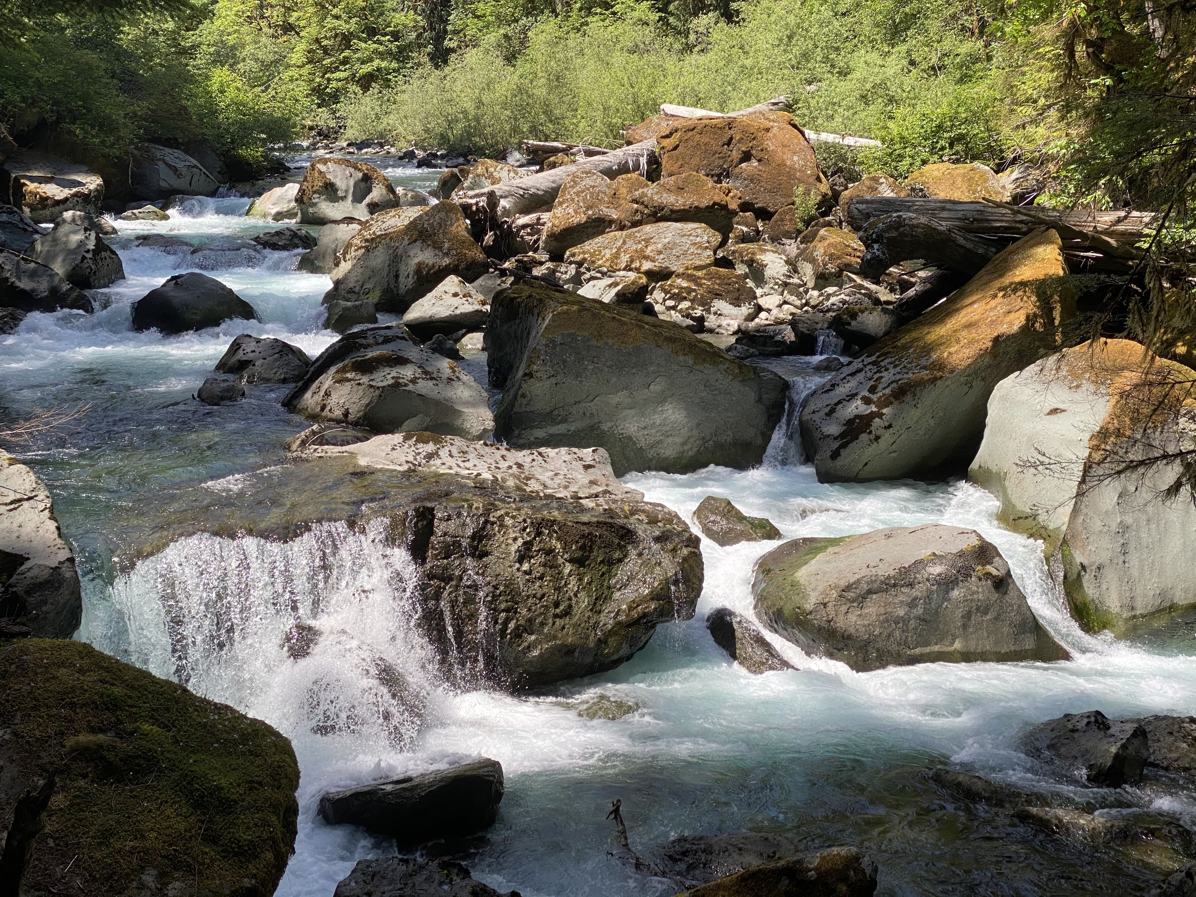 onlyfans Drea profile banner