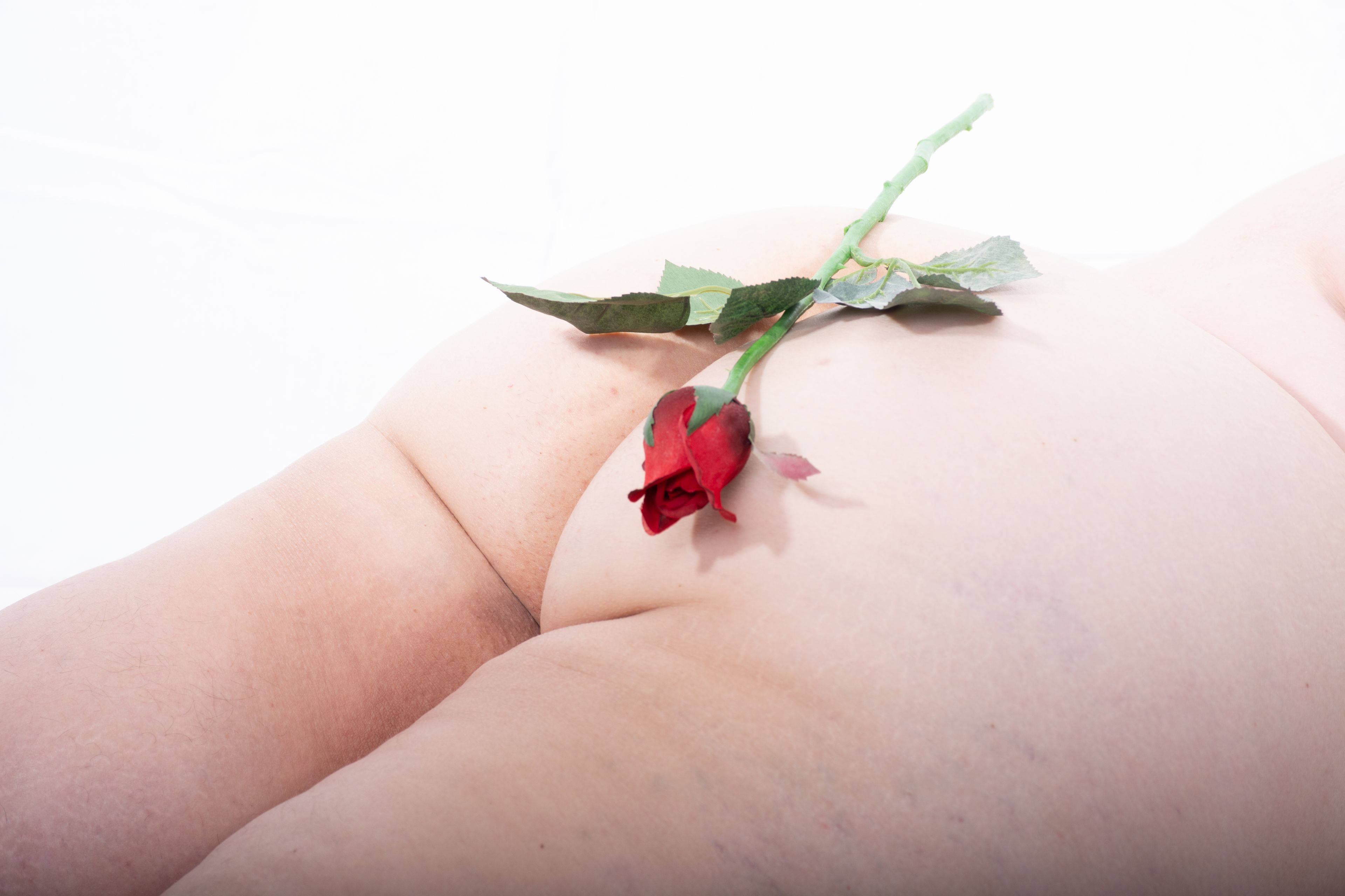 onlyfans Foxy Rose profile banner  