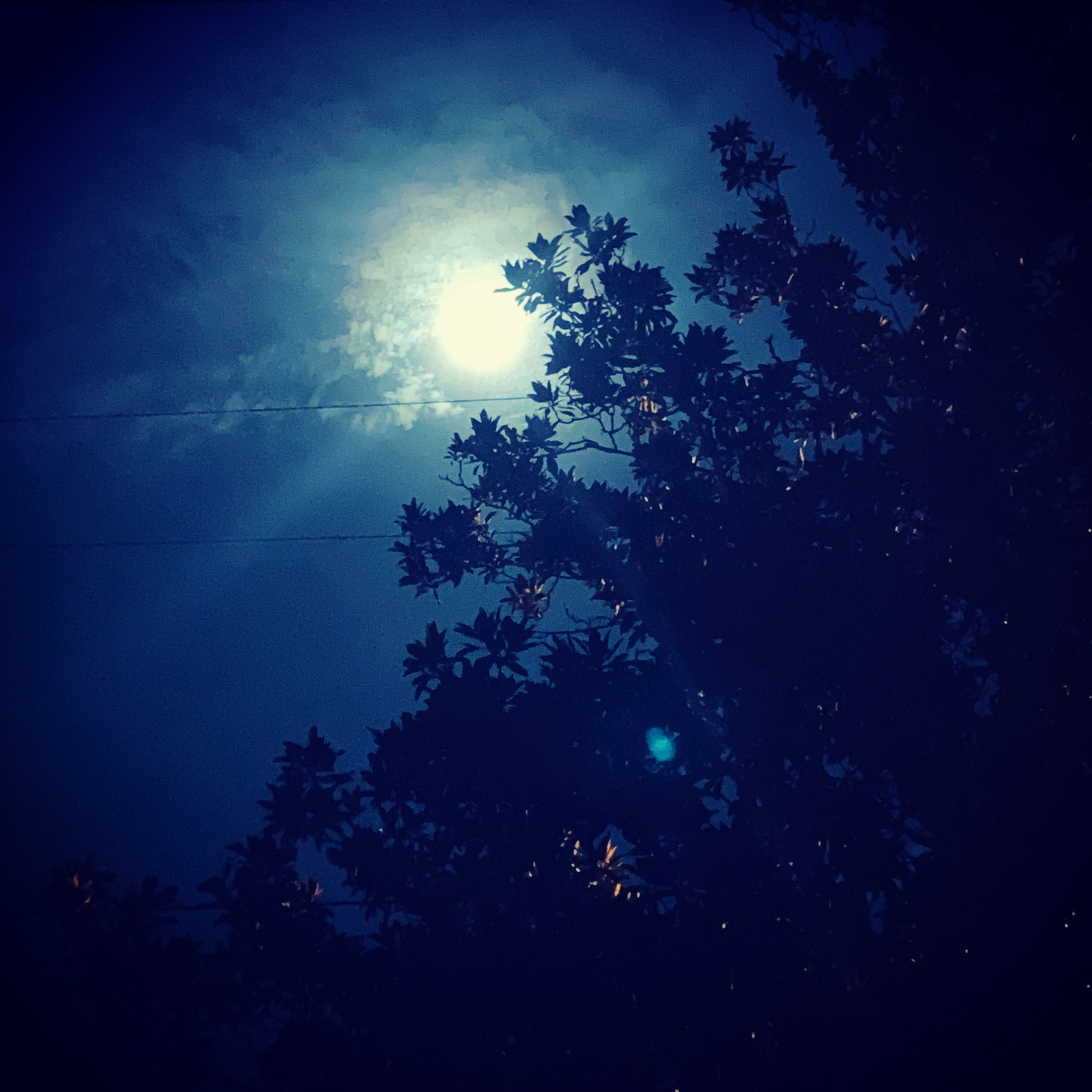 onlyfans IndigoStar profile banner  