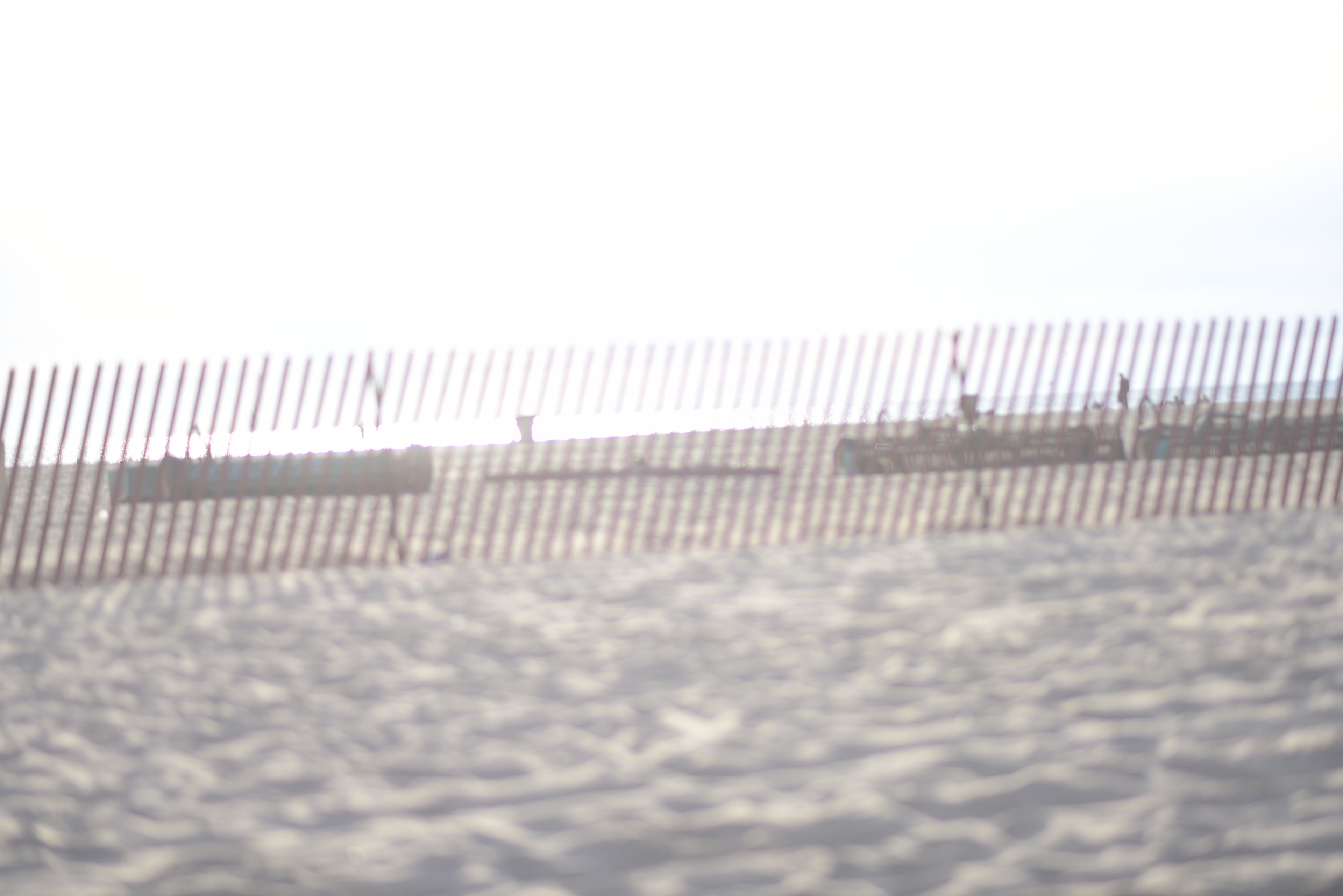 onlyfans Dominique Rystan profile banner  