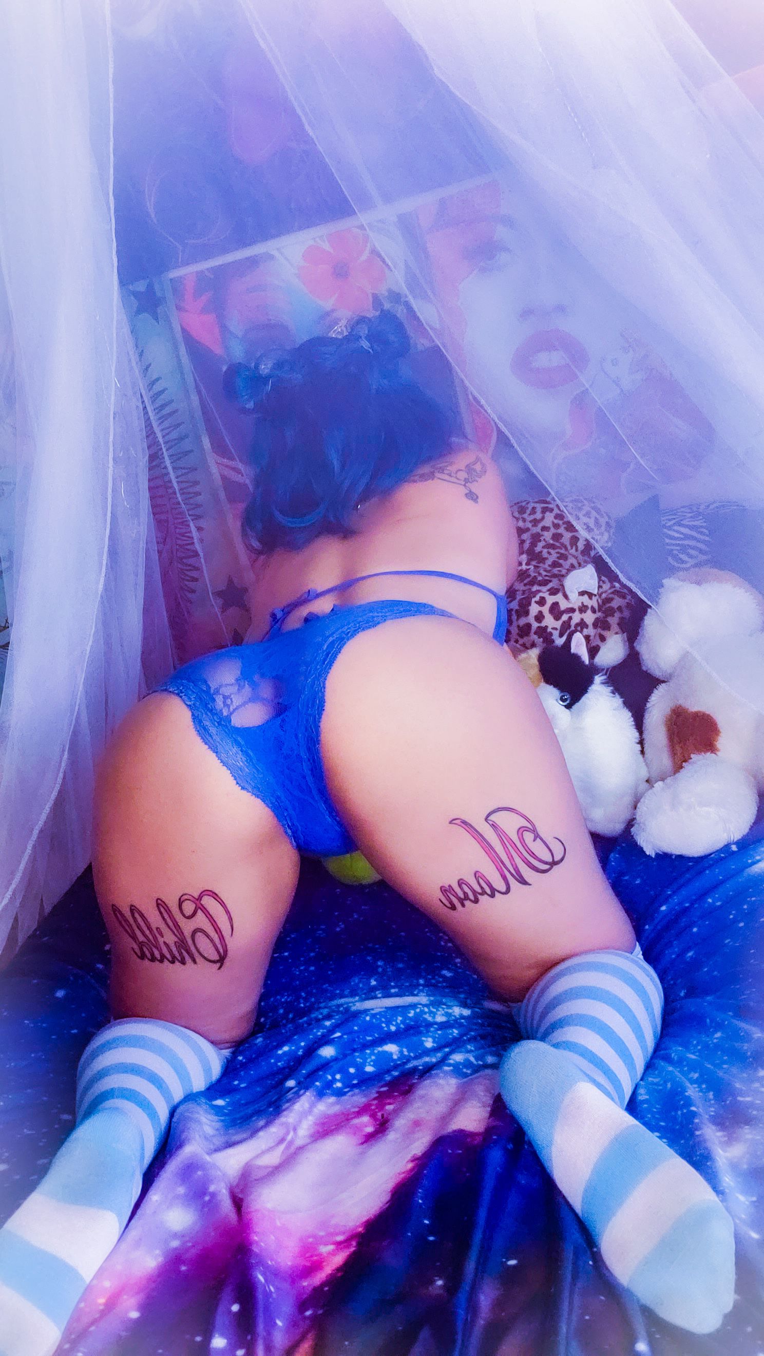 onlyfans 🌙🦇Vixen Moon 🦇🌙 profile banner  