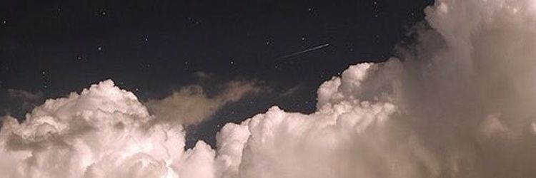 onlyfans 𝖒𝖆𝖌𝖘 profile banner  