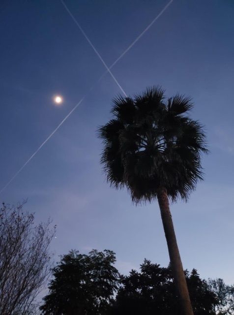 onlyfans Claudia profile banner  