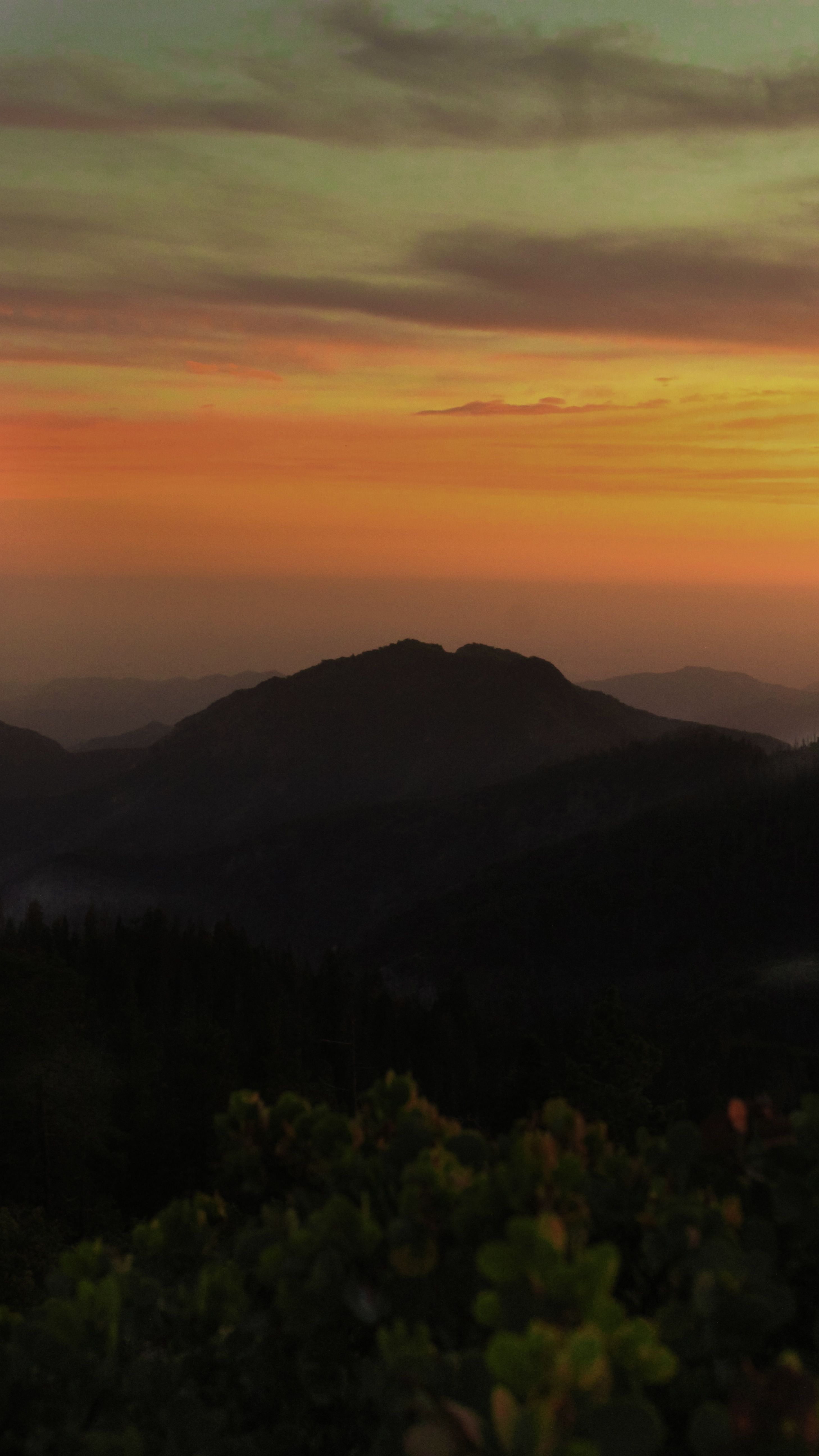 onlyfans Ariana profile banner  