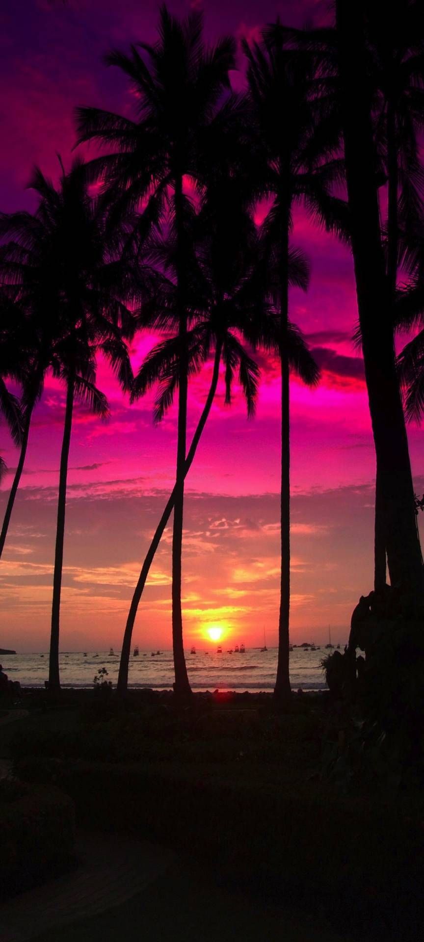 onlyfans Brunette rapunzel profile banner