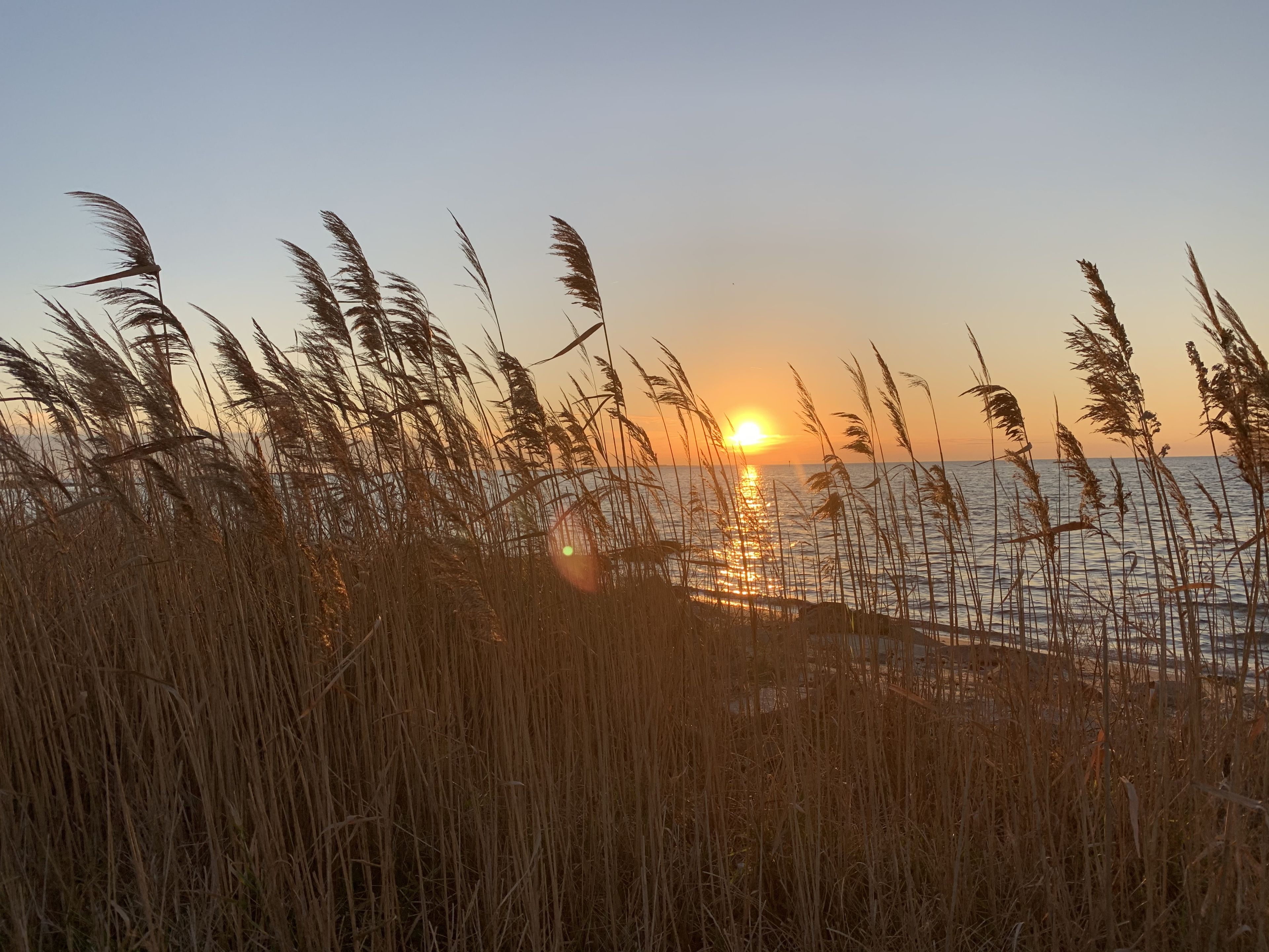 onlyfans Alexa Rose profile banner