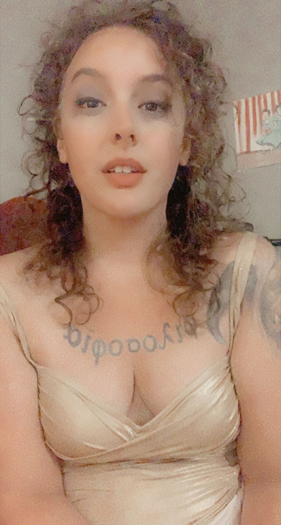 onlyfans Fandoola profile banner  
