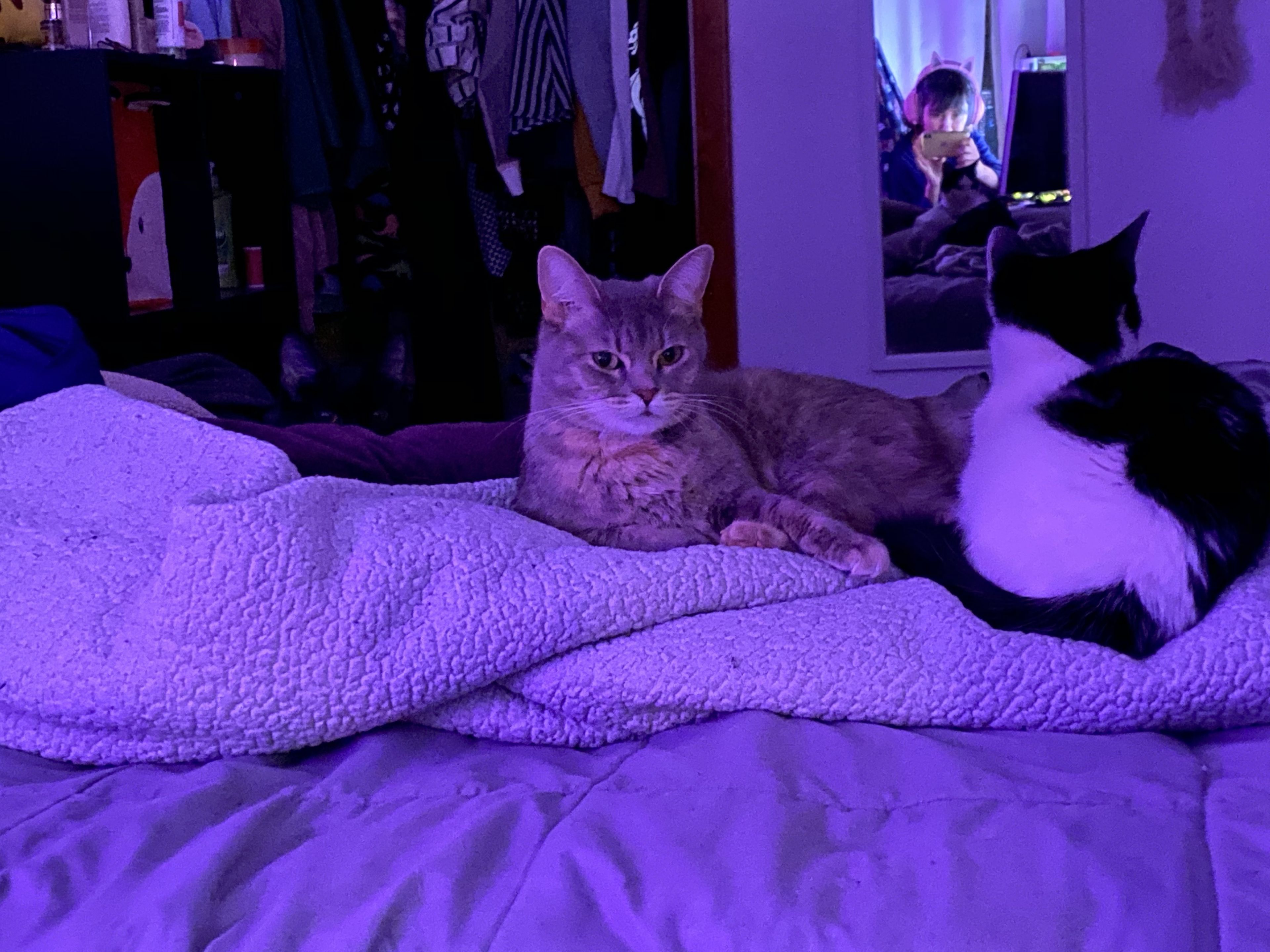 onlyfans Amatesaurius profile banner  