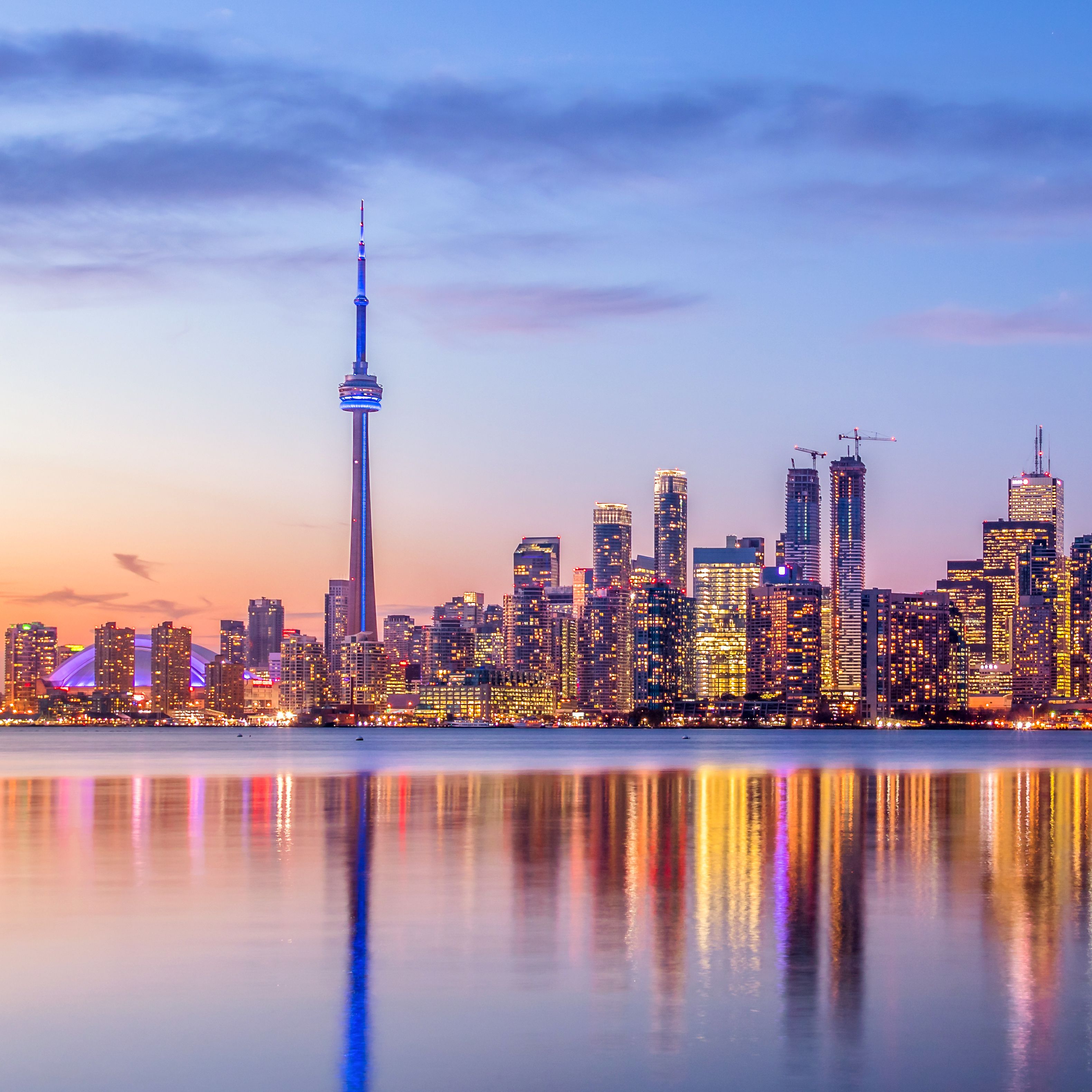 onlyfans a l e x x x 🔞 profile banner  