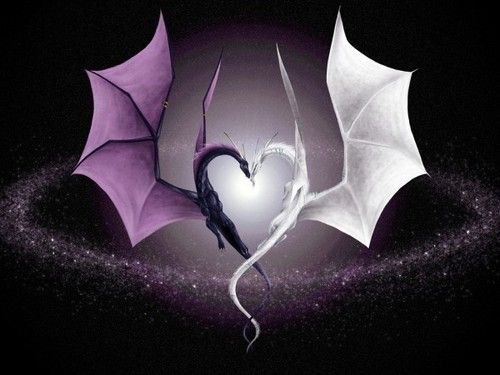 onlyfans RandomKitty profile banner  