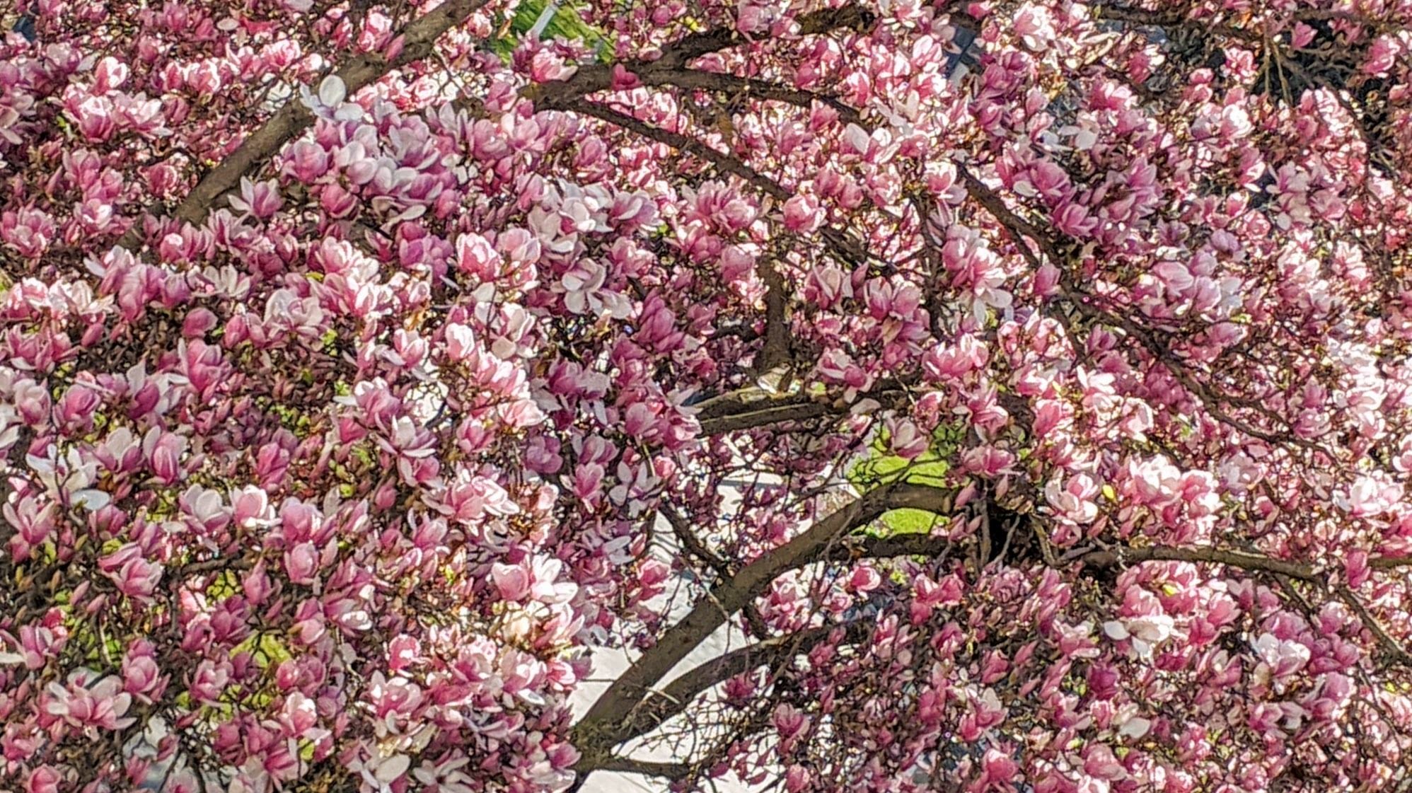 onlyfans Maddy B profile banner