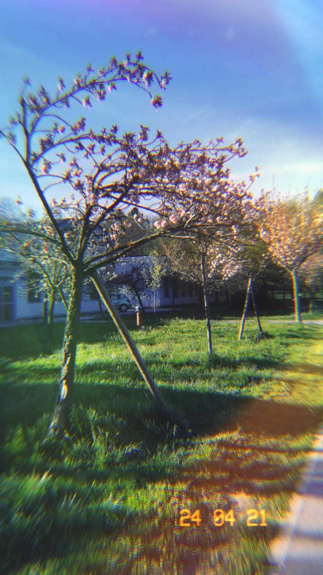 onlyfans Cash Mistress MZ profile banner  