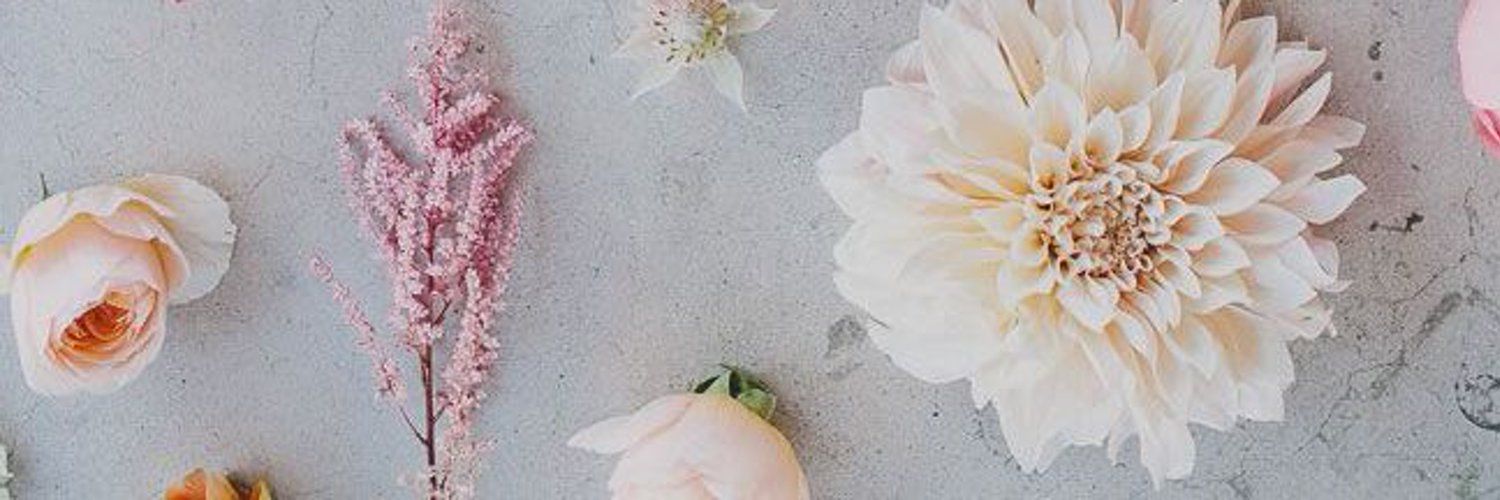 onlyfans goddess Ni 🌸 profile banner  