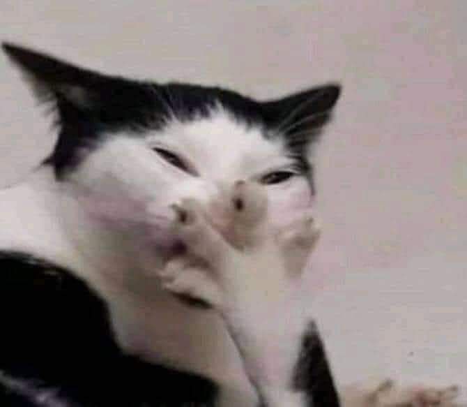 onlyfans J.U.N.I.O.R (D) profile banner