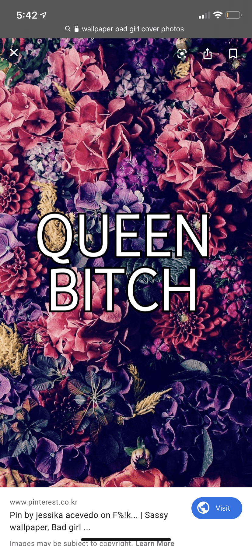 onlyfans Fuckoffliz profile banner  