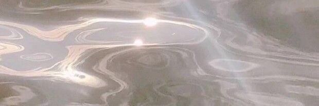 onlyfans D ๐ profile banner