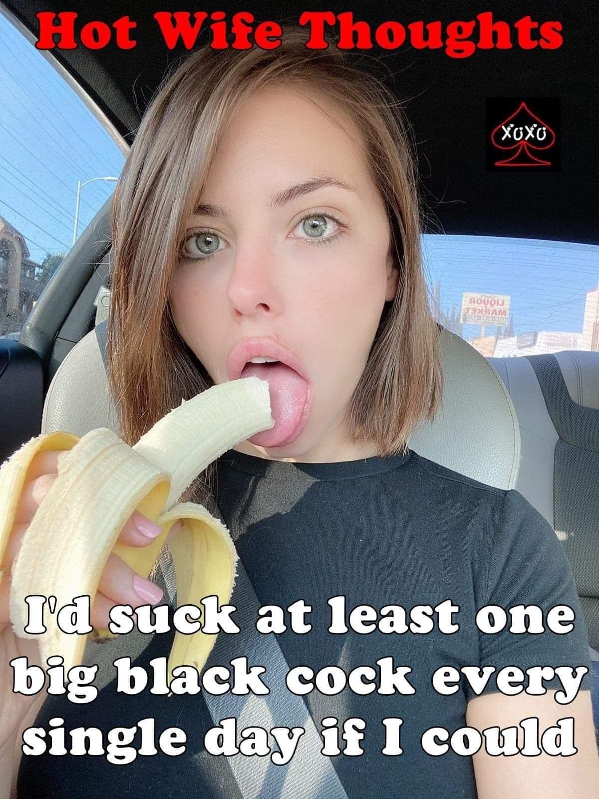 onlyfans Kitty profile banner