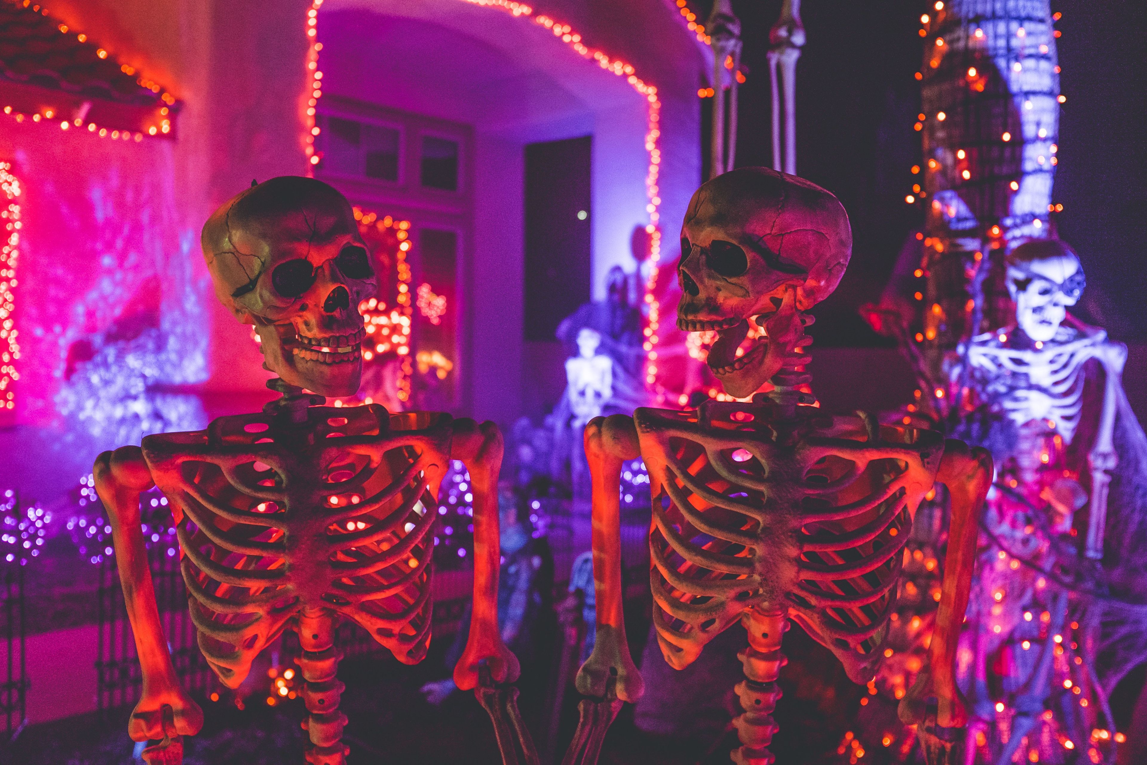 onlyfans Jay profile banner  