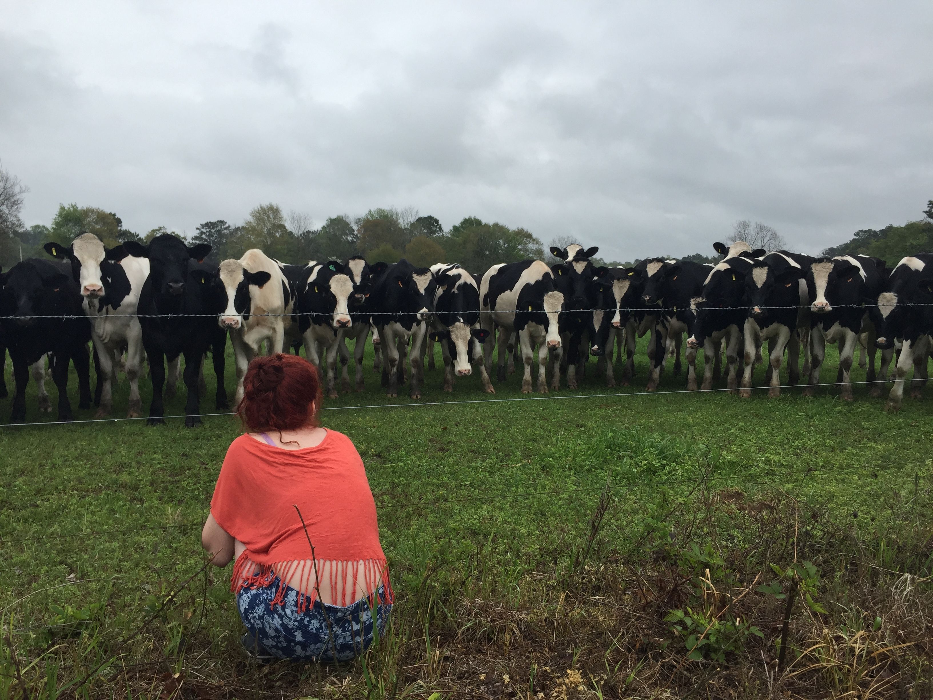 onlyfans eve profile banner