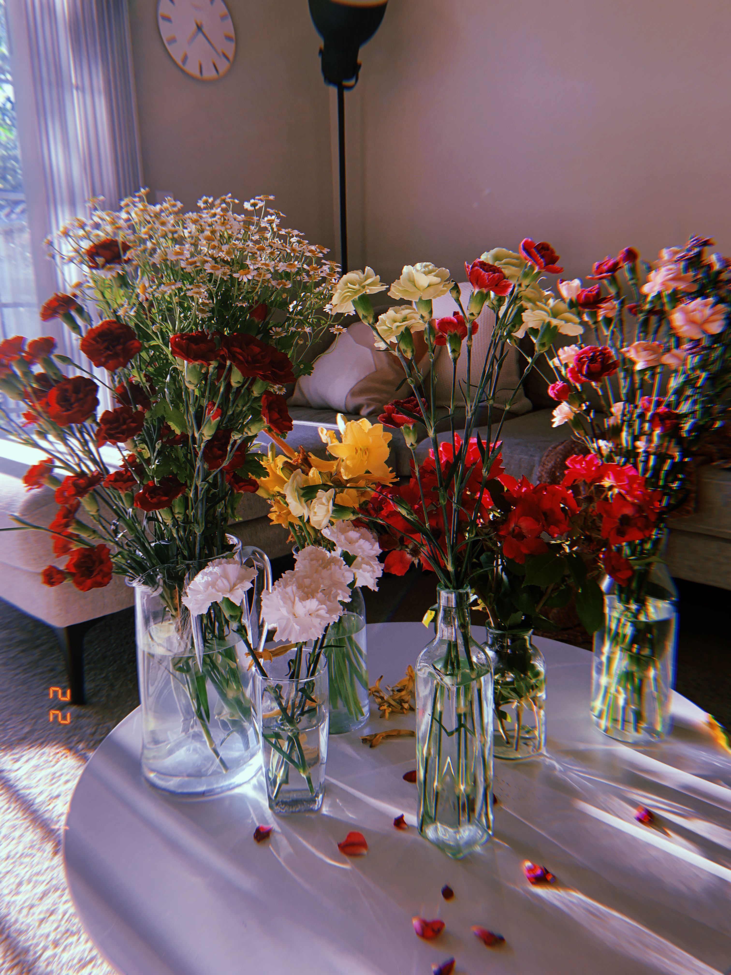 onlyfans u154076010 profile banner