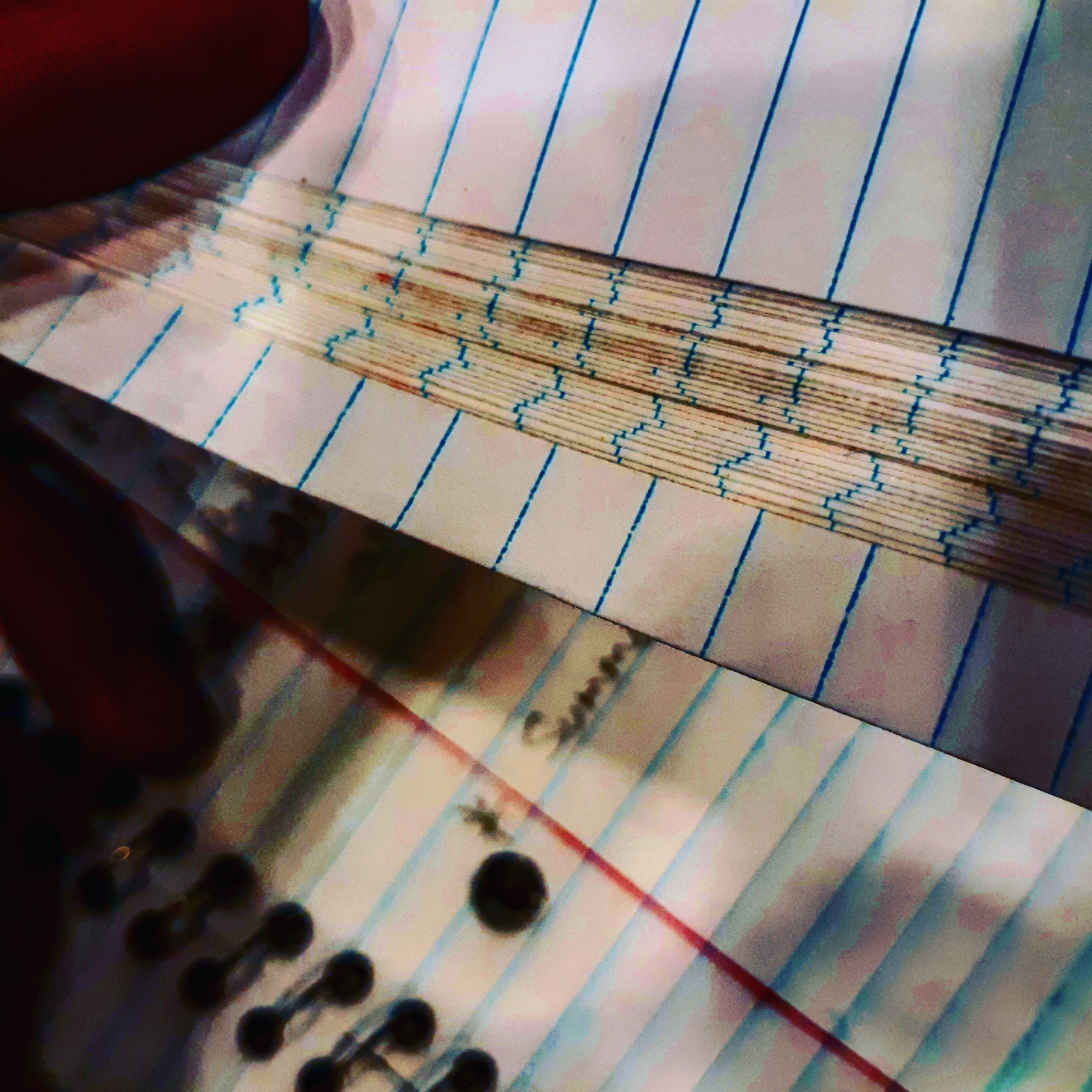 onlyfans TheWolfInTheWoods profile banner