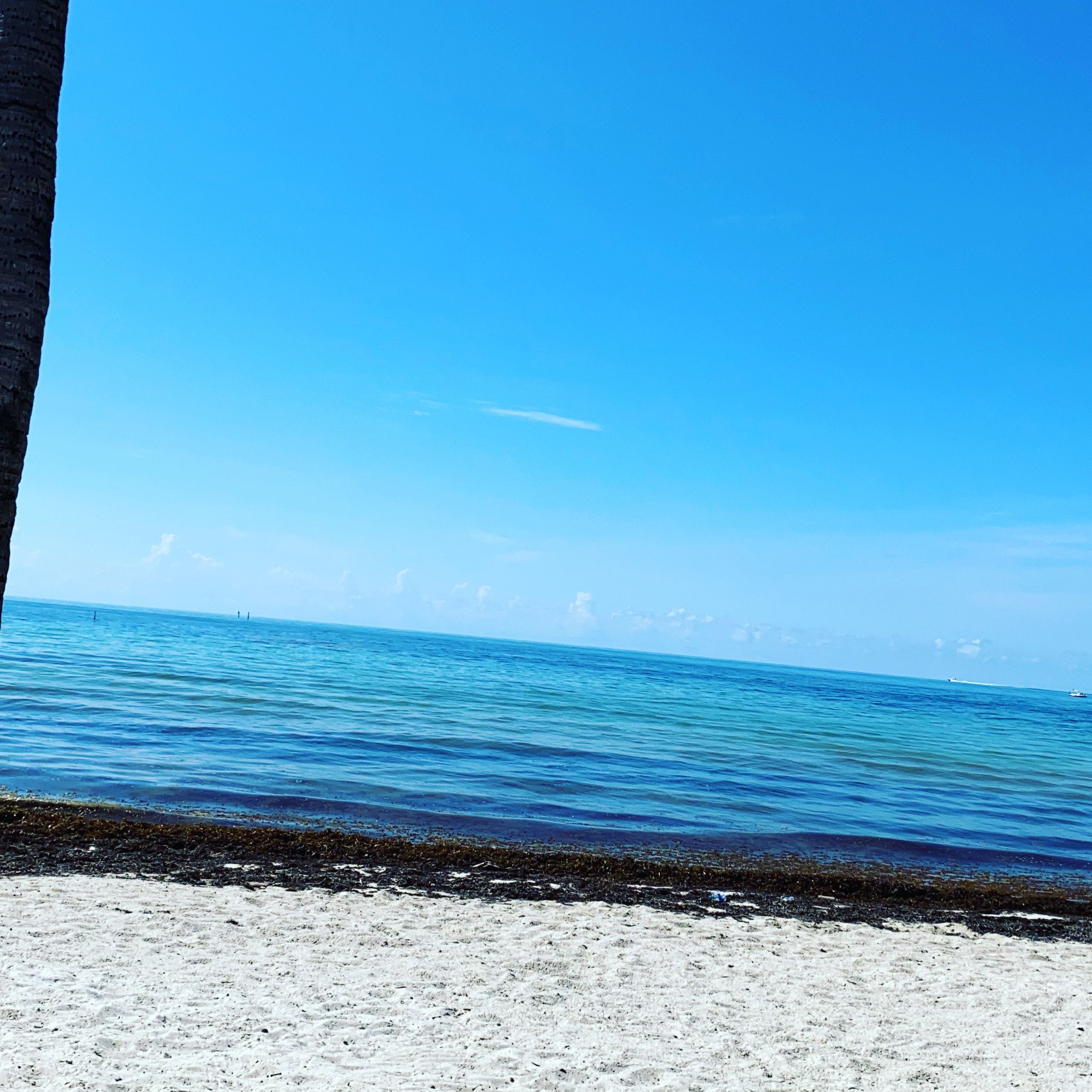 onlyfans Babe & The Captain Florida living… profile banner