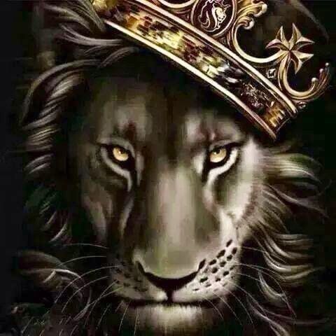 onlyfans dominic steele profile banner