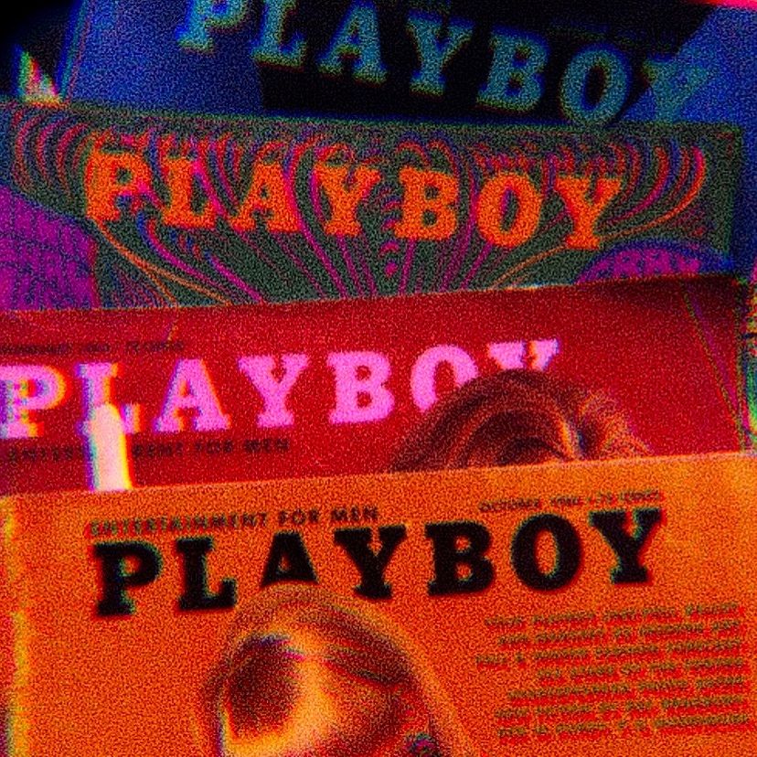 onlyfans Lร koi profile banner