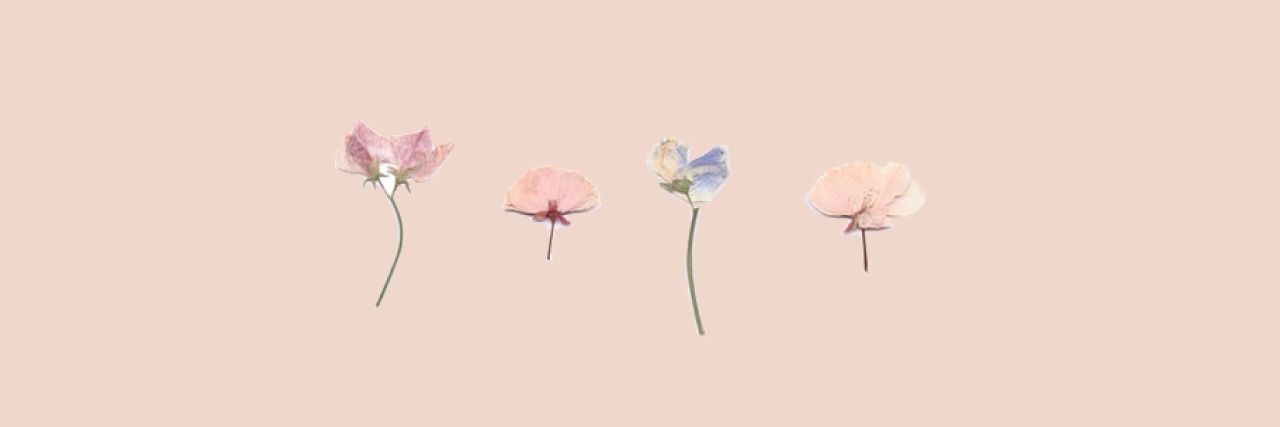 onlyfans Bre profile banner